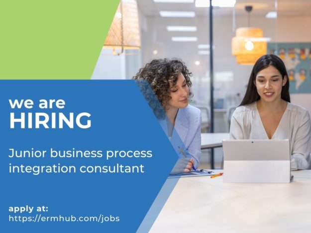 Junior business process integration consultant